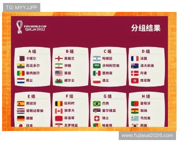 世界杯预选赛每组几个名额详细解析不同地区的名额分配情况及影响因素