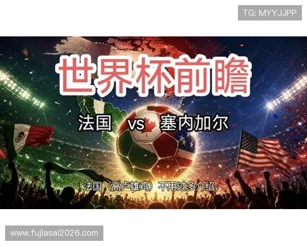 2026年法国对塞内加尔世界杯比赛现场观赛注意事项与观赛攻略